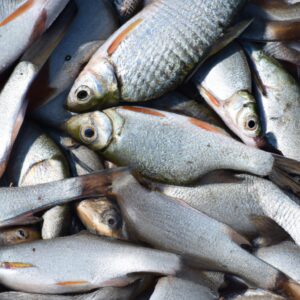 Podrobný průvodce: Pstruh obecný (Salmo trutta) – Jak úspěšně lovit toto vzácné rybářské pokladové zvíře 5 Podrobný průvodce: Pstruh obecný (Salmo trutta) – Jak úspěšně lovit toto vzácné rybářské pokladové zvíře