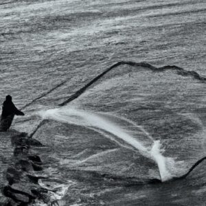 Překvapující způsob, jak zachytit okouzlujícího Tolstolobika bílého (Hypophthalmichthys molitrix) a získat obdiv okolí!