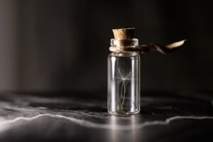 Vyzkoušejte jednoduché a účinné metody, jak doma chovat pstruhy duhové! 2 Vyzkoušejte jednoduché a účinné metody, jak doma chovat pstruhy duhové!