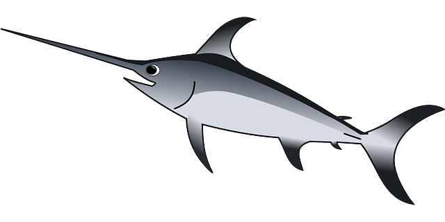 3. Skryté triky, které vám pomohou připravit Marlin rybu jako pravý odborník na rybaření!