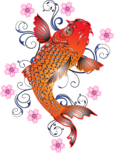 Jak správně vyčistit a filetovat kapra: Expertní návod od rybářského odborníka s 10 lety zkušeností!